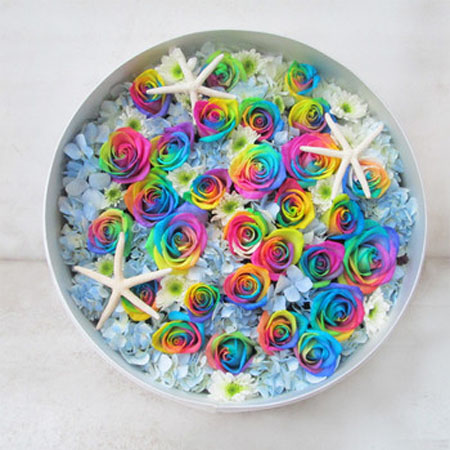 Rainbow Rose-Colorful Love