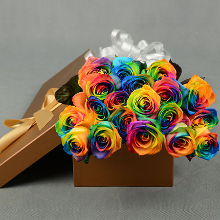 Rainbow Rose-The Color of Love