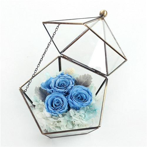 Preservation of flowers, five-star glass flower room light blue