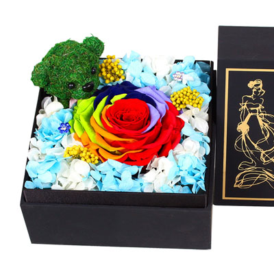 Flower of Immortal Rainbow Rose