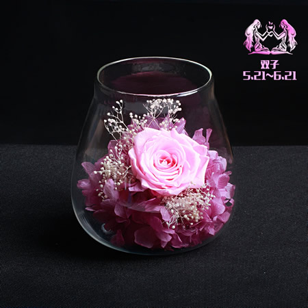 Preserve flowers Gemini