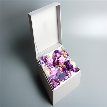 Luxury Purple