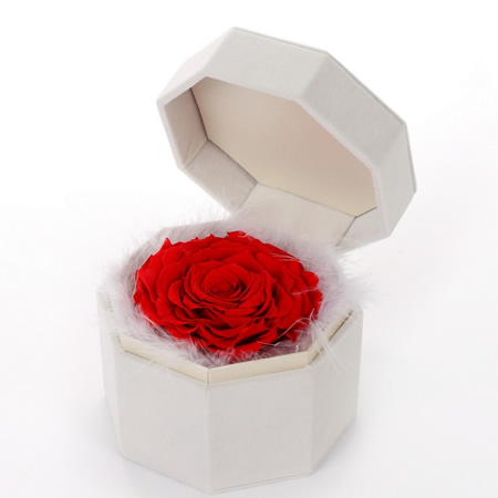 Preserve flowers Single red rose