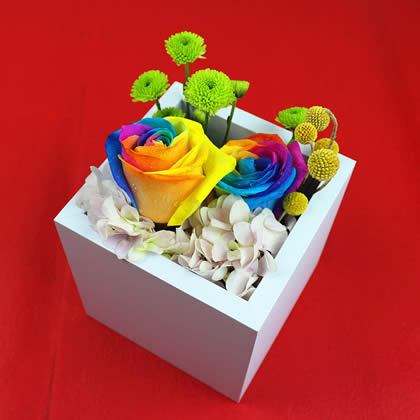 Rainbow Rose True Love for Life