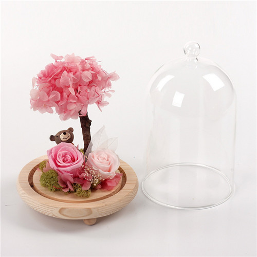 Flower preservation glass cover resin bear powder