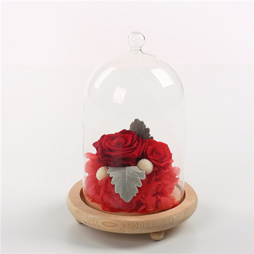 Flower preservation glass cover red