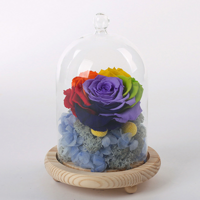 Glass-covered rainbow flowers Blue hydrangea