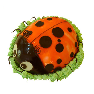 Beetle