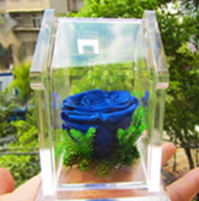 Preserve flowers Romantic cottage