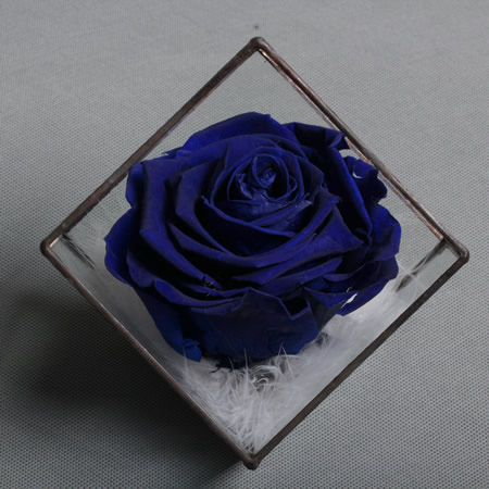 Preserve flowers BX124
