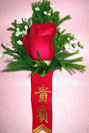 Rose Bruz 4
