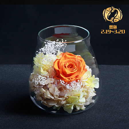 Preserve flowers Pisces