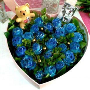 Heart