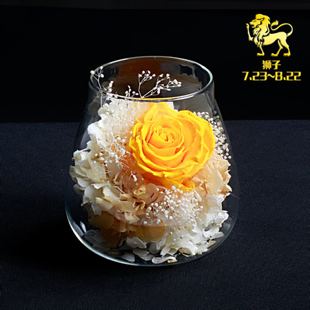 Preserve flowers Leo