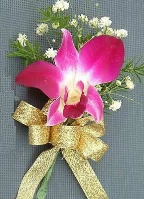 Orchid corsage