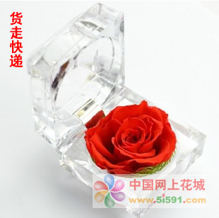Ring box preserved flowers-Red rose