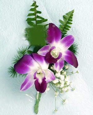Dendrobium corsage