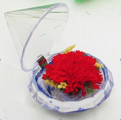 Preservation of flowers Carnation Diamonds