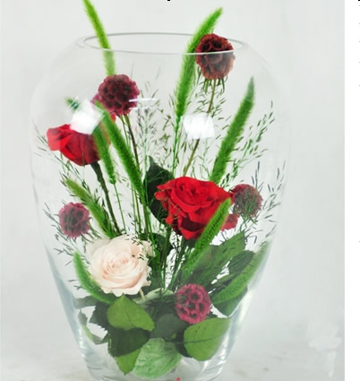 Preserve flowers Feiya Star