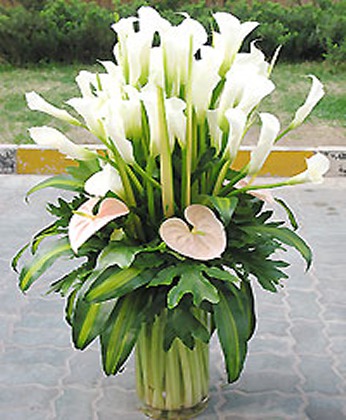 The fragrance floats