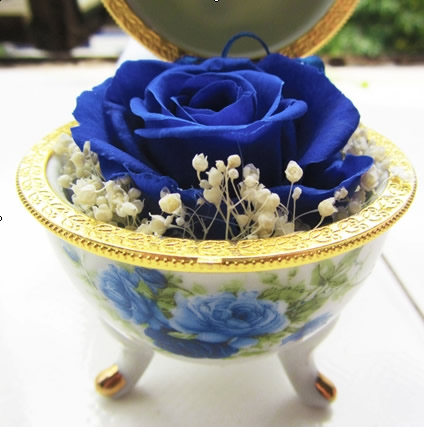 Preservation of flowers Blue and white porcelain