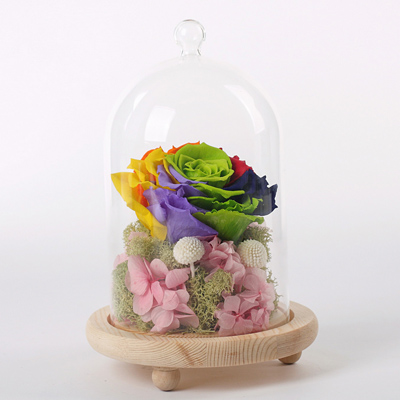 Glass covered rainbow flowers Pink hydrangea