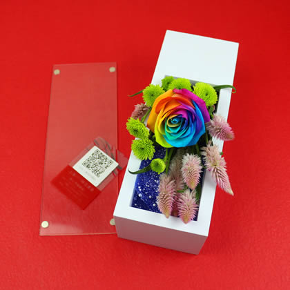 Rainbow Rose The Most Beautiful Meet