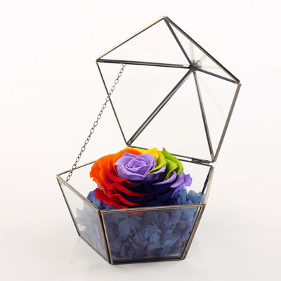 Five-star glass flower room colorful roses