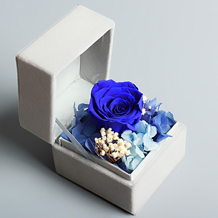 Small box collection Blue