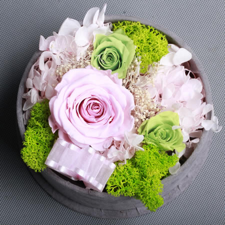 Preserve flowers BX131