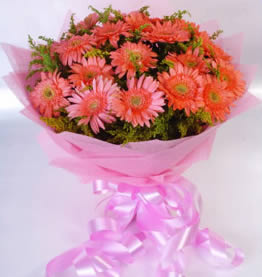 Happy flowers bloom