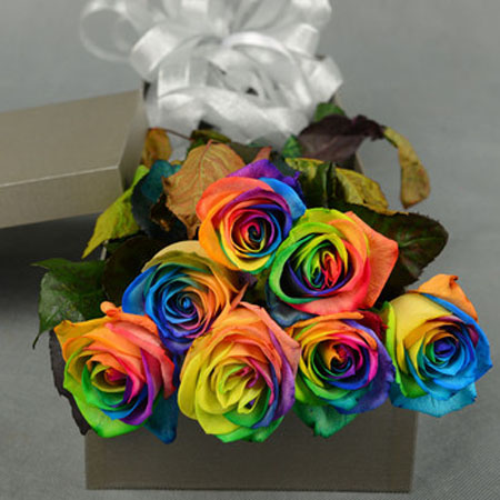 Rainbow Rose-The Price of Love