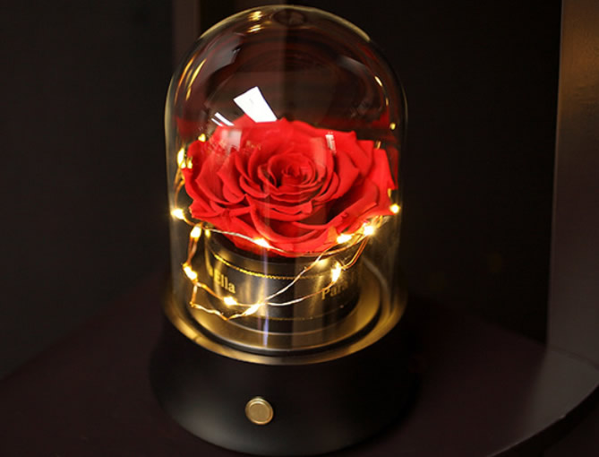 Because of you - Bluetooth Immortal Flower