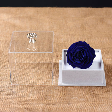 Preserve flowers Single blue