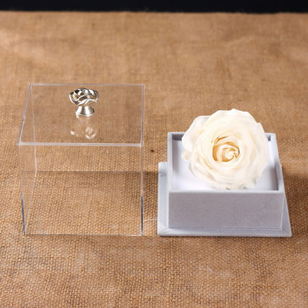 Preserve flowers Single white