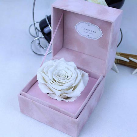 Immortal Flower Single White Rose