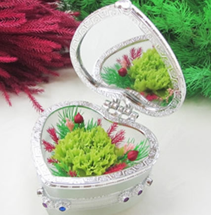 Flower preservation carnation makeup mirror