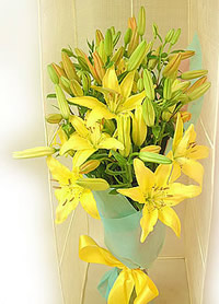 Flowers in the garden