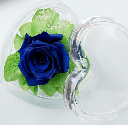 Preserve flowers Love box one flower