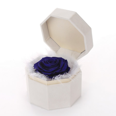 Preserve flowers Single blue rose