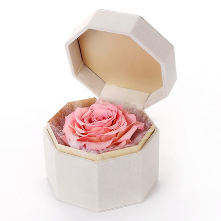 Preserve flowers Single pink rose