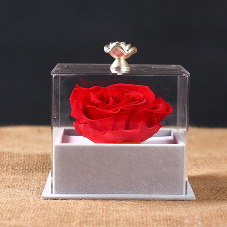 Preserve flowers Single red