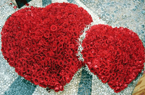 My heart You know