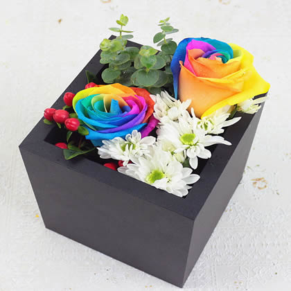 Rainbow Rose Tenderness