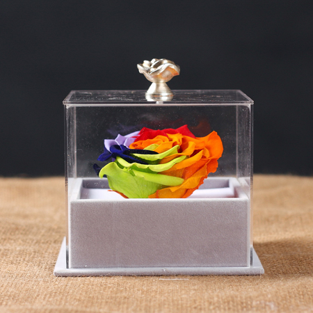 Preserve flowers Single rainbow