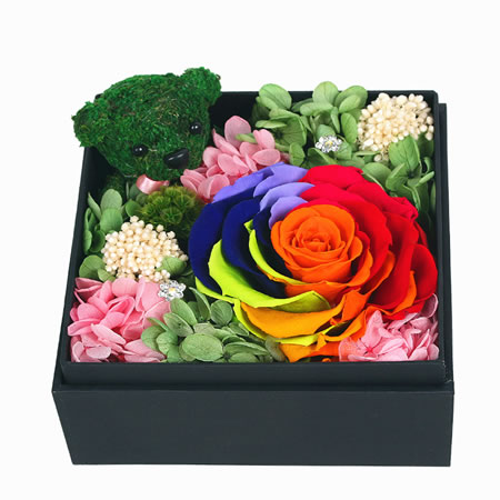 Preservation of flowers Rainbow rose A-style