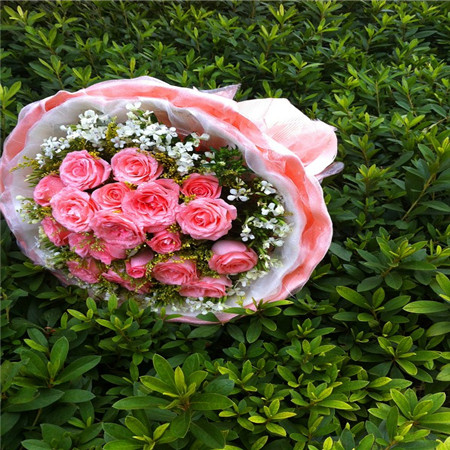 Pink Will