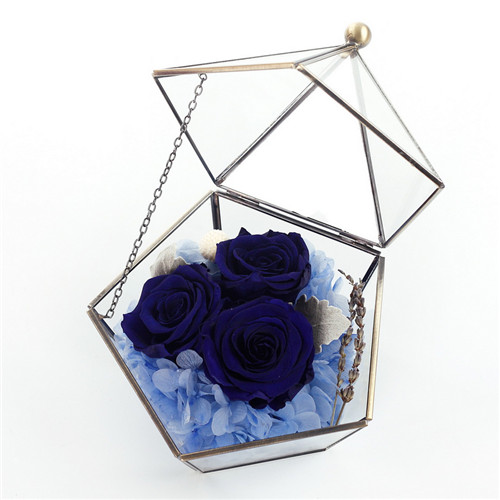Preserved flowers five-star glass flower room dark blue