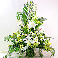 Flowers/The Tree of Missing