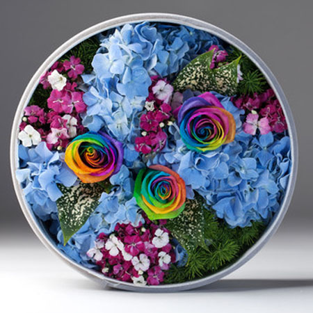 Rainbow Rose-Colorful